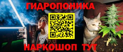 винт Партизанск