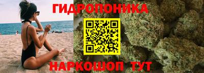винт Партизанск