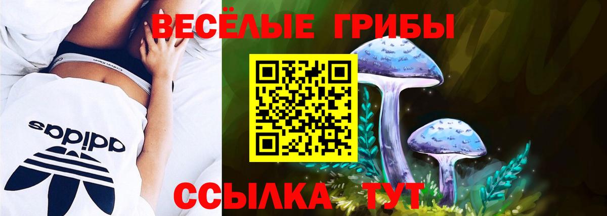 Севастополь  Псилоцибиновые грибы Cubensis  Псилоцибиновые грибы Psilocybe  Вход с VPN 